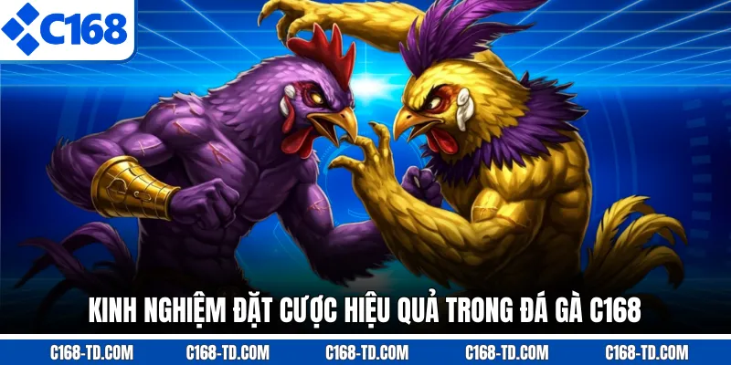 Kinh Nghiệm Đặt Cược Hiệu Quả Trong Đá Gà C168
